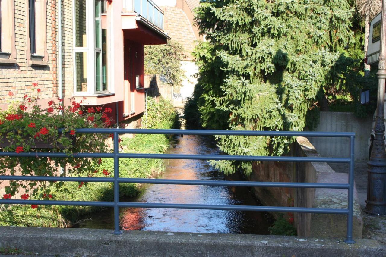 Ferienwohnung Spatzennest In Edesheim Εξωτερικό φωτογραφία