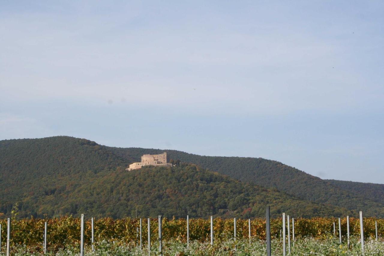 Ferienwohnung Spatzennest In Edesheim Εξωτερικό φωτογραφία